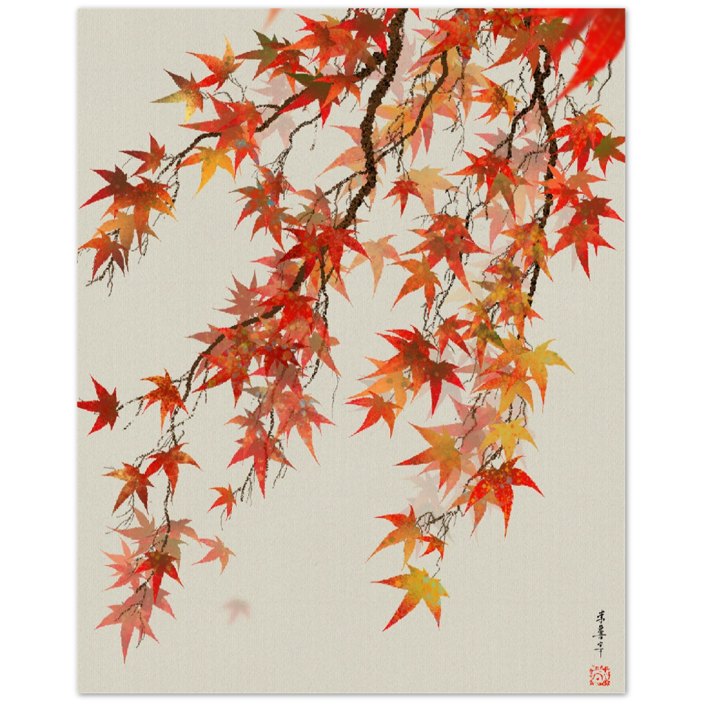 Japanese Maple: Art Print
