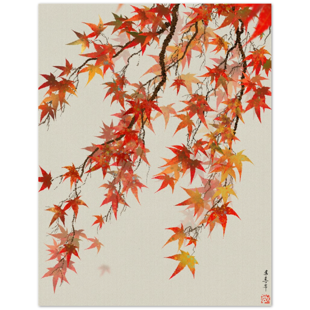 Japanese Maple: Art Print