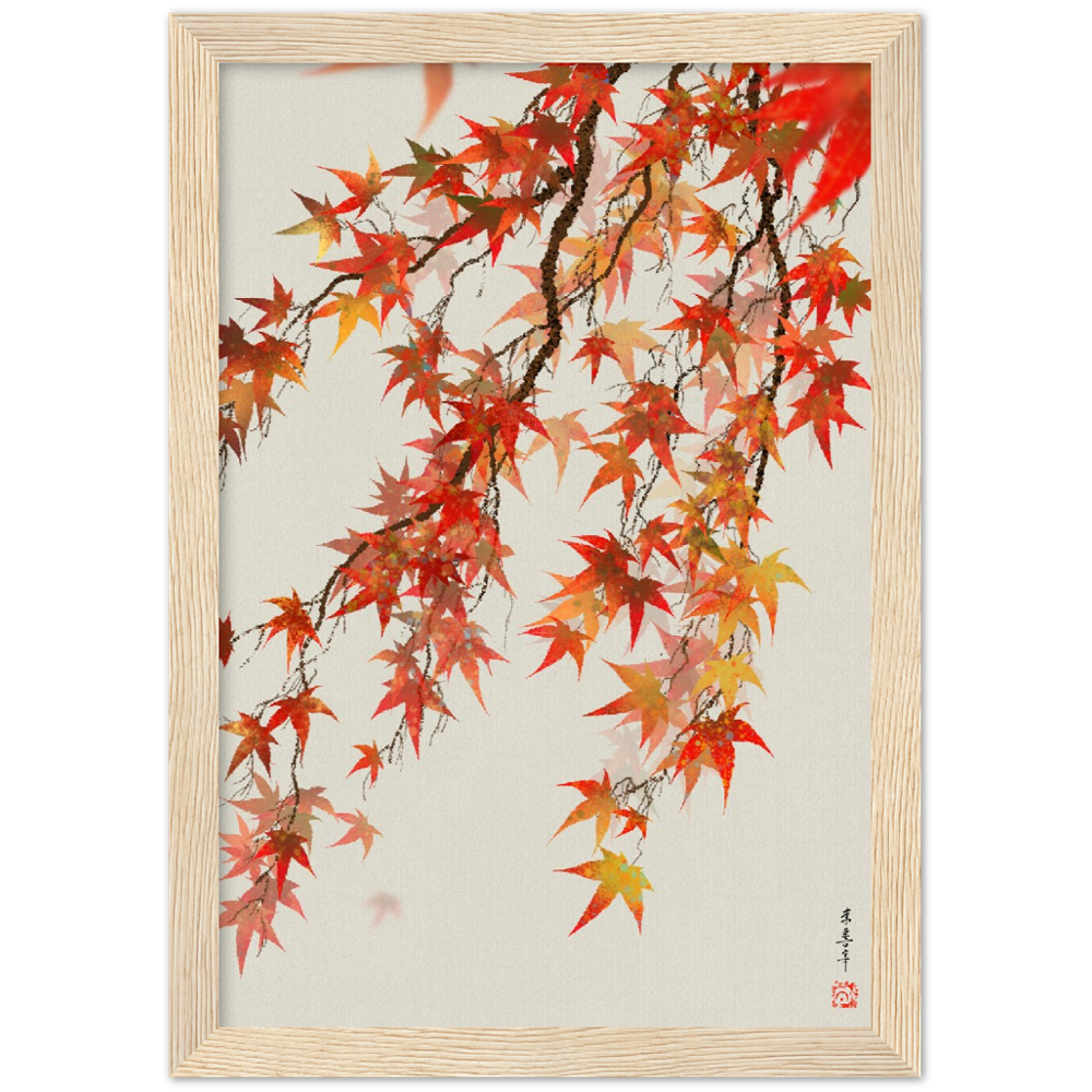 Japanese Maple: Framed Print